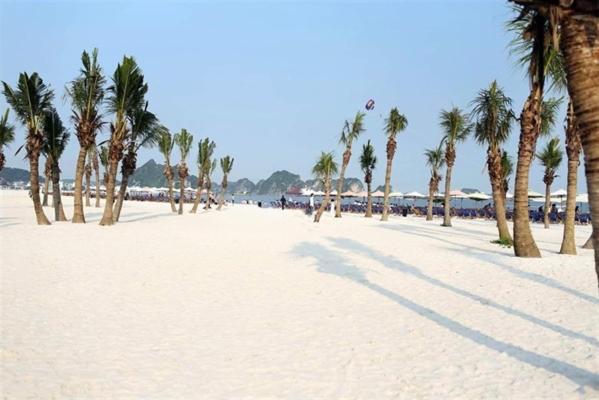 Homestay Sea View Newlife Halong. 하롱 외부 사진